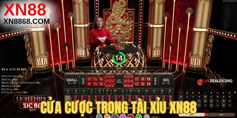 Cửa cược trong Tài Xỉu XN88