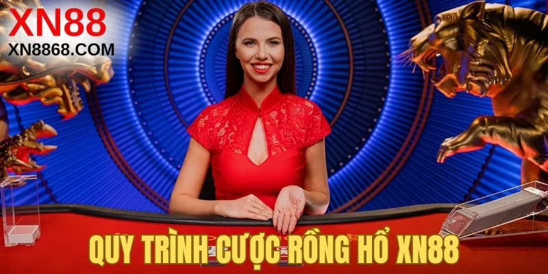 Quy trình cược Rồng Hổ XN88